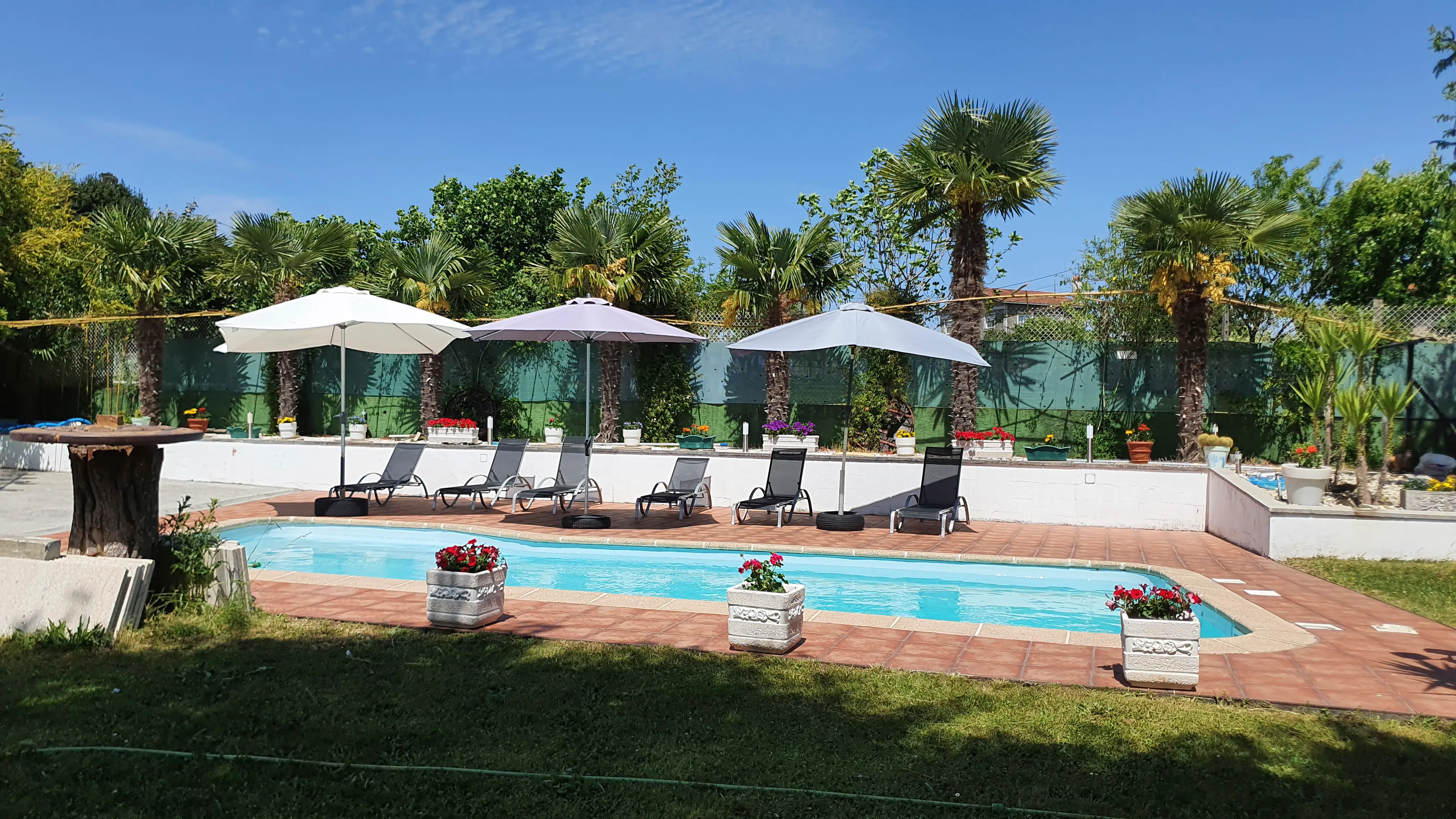 Vista elevada de la piscina y zona de descanso exterior