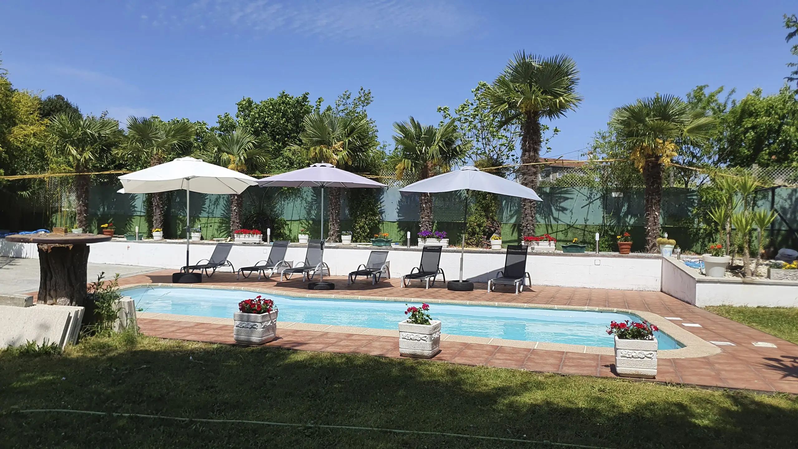 Vista elevada de la piscina y zona de descanso exterior